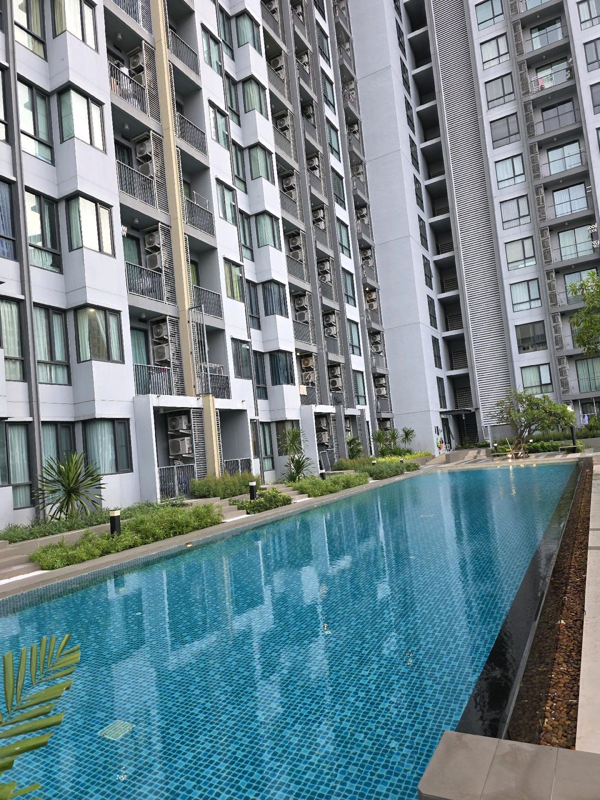 ให้เช่าคอนโดอ่อนนุช อุดมสุข : [RENT] คอนโดสุขุมวิท 79 🚅BTS อ่อนนุช• 44 ตร.ม 2 ห้องนอน 1 ห้องน้ำ เฟอร์ครบ พร้อมเข้าอยู่ 
📞099 415 2664 , 080 369 6366