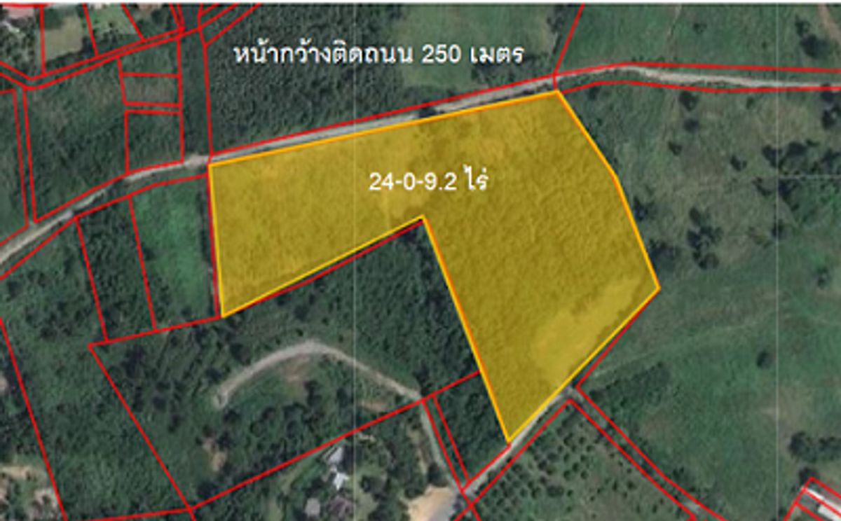 ขายที่ดินปากช่อง เขาใหญ่ : 🚨 โอกาสลงทุน ที่ไม่ควรพลาด ที่ดินเขาใหญ่ที่สุดของความสวย 🌟