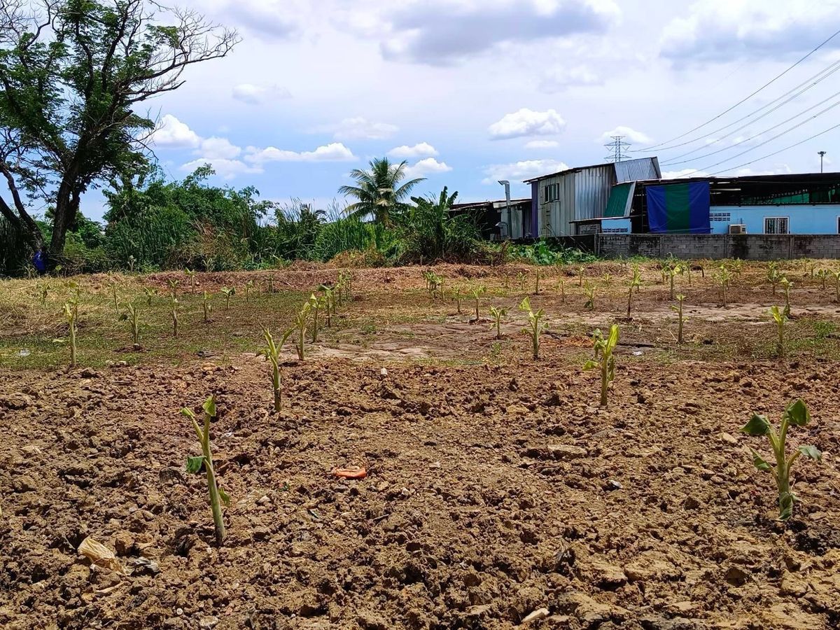For SaleLandPinklao, Charansanitwong : Taling Chan Land for sale, 1 rai of Kanchanaphisek
