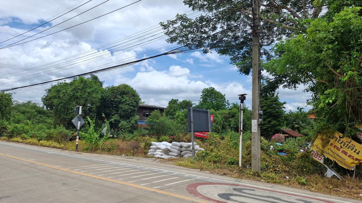 ขายที่ดินนนทบุรี บางใหญ่ บางบัวทอง : ขายด่วน ที่ดินแปลงสวย หน้าตลาดชุมพลพาณิชย์