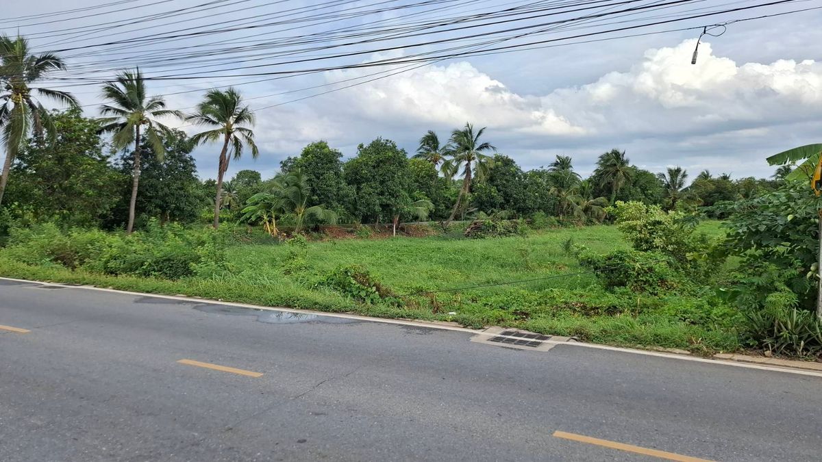 ขายที่ดินนนทบุรี บางใหญ่ บางบัวทอง : ขายด่วน ที่ดินใกล้ห้างเซ็นทรัล ทางด่วน