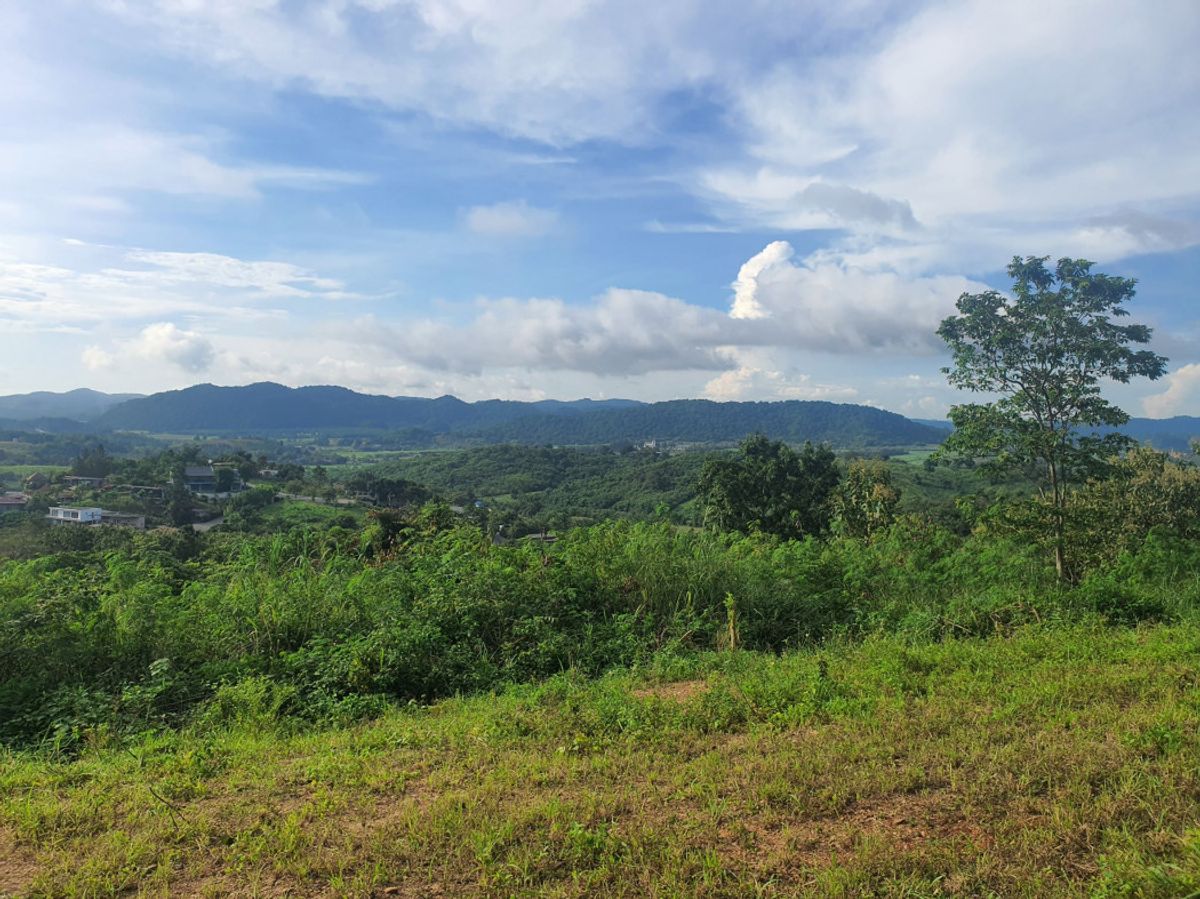 ขายที่ดินปากช่อง เขาใหญ่ : 🚨 โอกาสลงทุน ที่ไม่ควรพลาด ที่ดินเขาใหญ่ที่สุดของความสวย 🌟