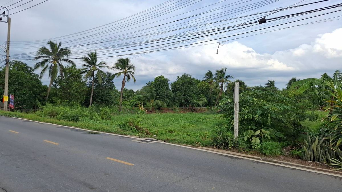 ขายที่ดินนนทบุรี บางใหญ่ บางบัวทอง : ขายด่วน ที่ดินใกล้ห้างเซ็นทรัล ทางด่วน