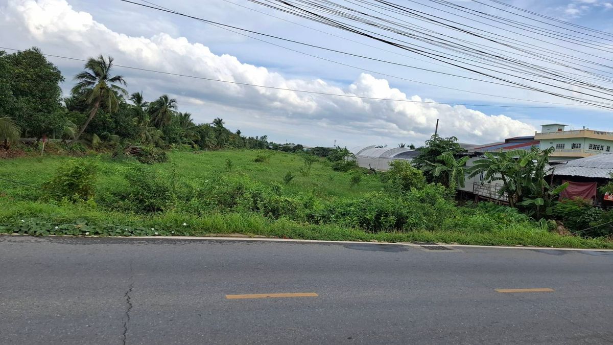 ขายที่ดินนนทบุรี บางใหญ่ บางบัวทอง : ขายด่วน ที่ดินใกล้ห้างเซ็นทรัล ทางด่วน