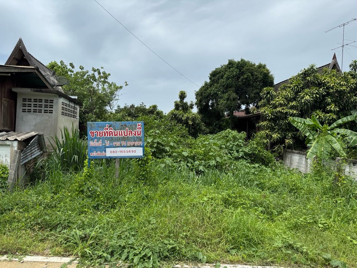 ขายที่ดินราชบุรี : ขายที่ดินสำหรับปลูกสร้างบ้าน ติดถนนและแม่น้ำขนาด 74 ตรว. ได้ที่ดินงอกสามารถเพาะปลูกทำการเกษตรได้เนื้อเยอะมาก  ถ. ต.คลองตาคต อ.โพธาราม จ.ราชบุรี 