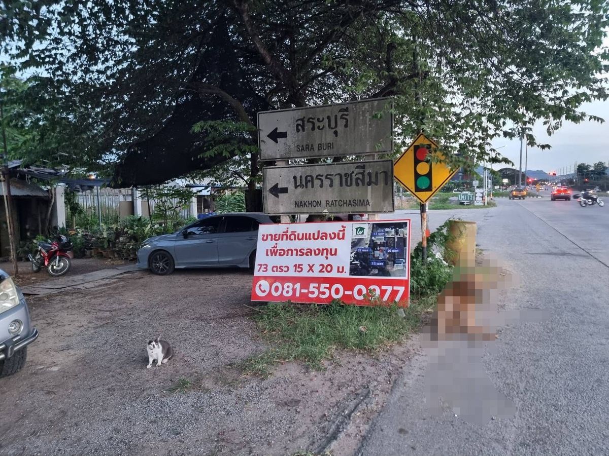 ขายที่ดินปากช่อง เขาใหญ่ : ขายด่วนที่ดินทำเลทอง หน้า BigC แยกเขาใหญ่ ติดถนนมิตรภาพสายเก่า