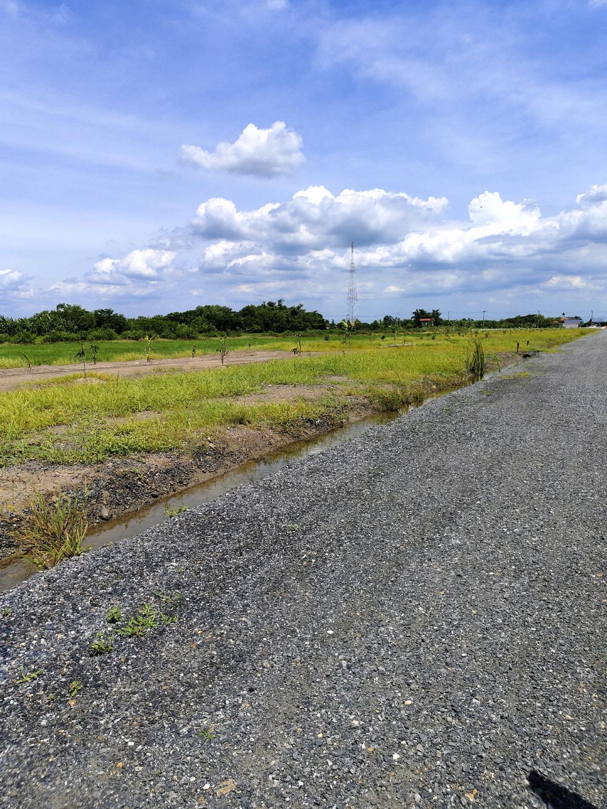 ขายที่ดินมีนบุรี-ร่มเกล้า : ขายที่ดินเปล่าทำเลสวย เขตหนองจอก
