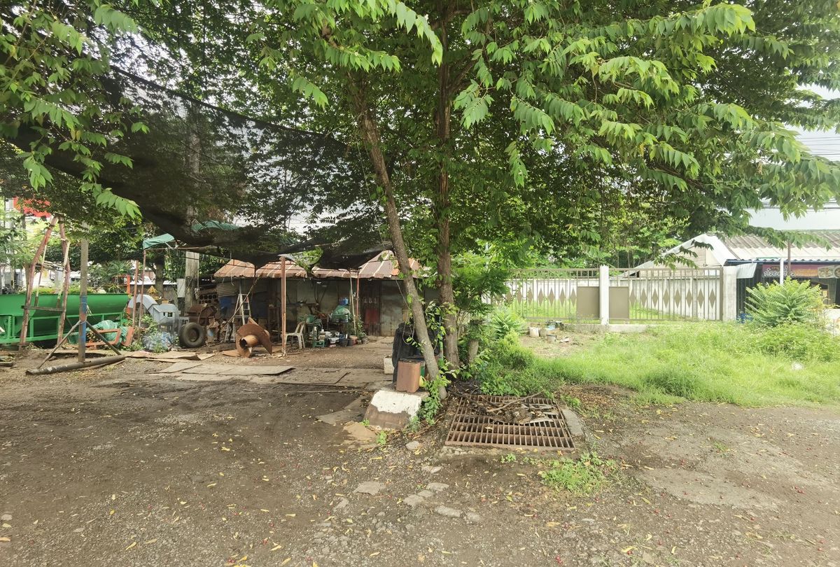 ขายที่ดินปากช่อง เขาใหญ่ : ขายด่วนที่ดินทำเลทอง หน้า BigC แยกเขาใหญ่ ติดถนนมิตรภาพสายเก่า