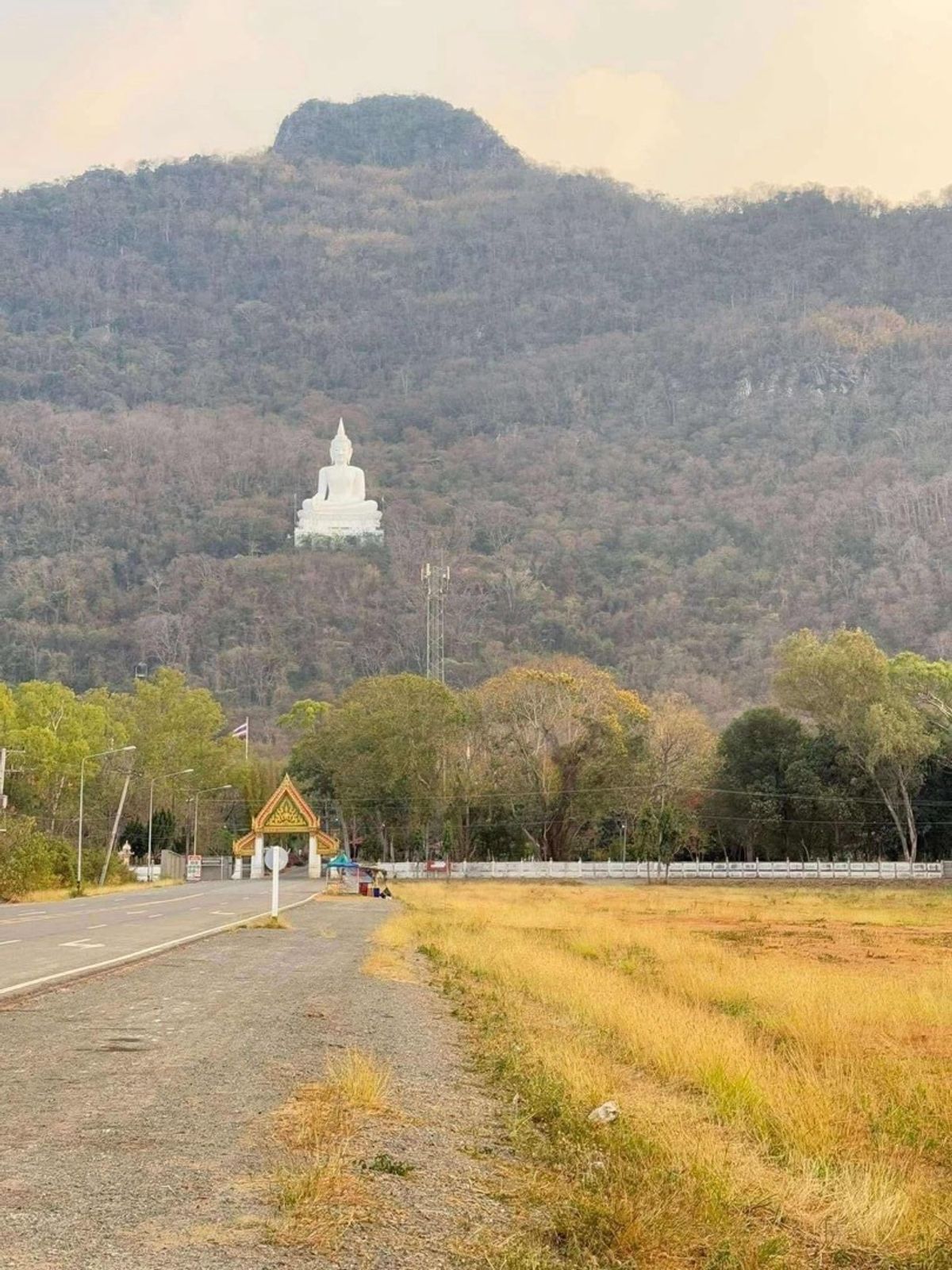 ขายที่ดินปากช่อง เขาใหญ่ : ที่ดินเขาใหญ่ 3 ไร่ วิวภูเขา สวย 