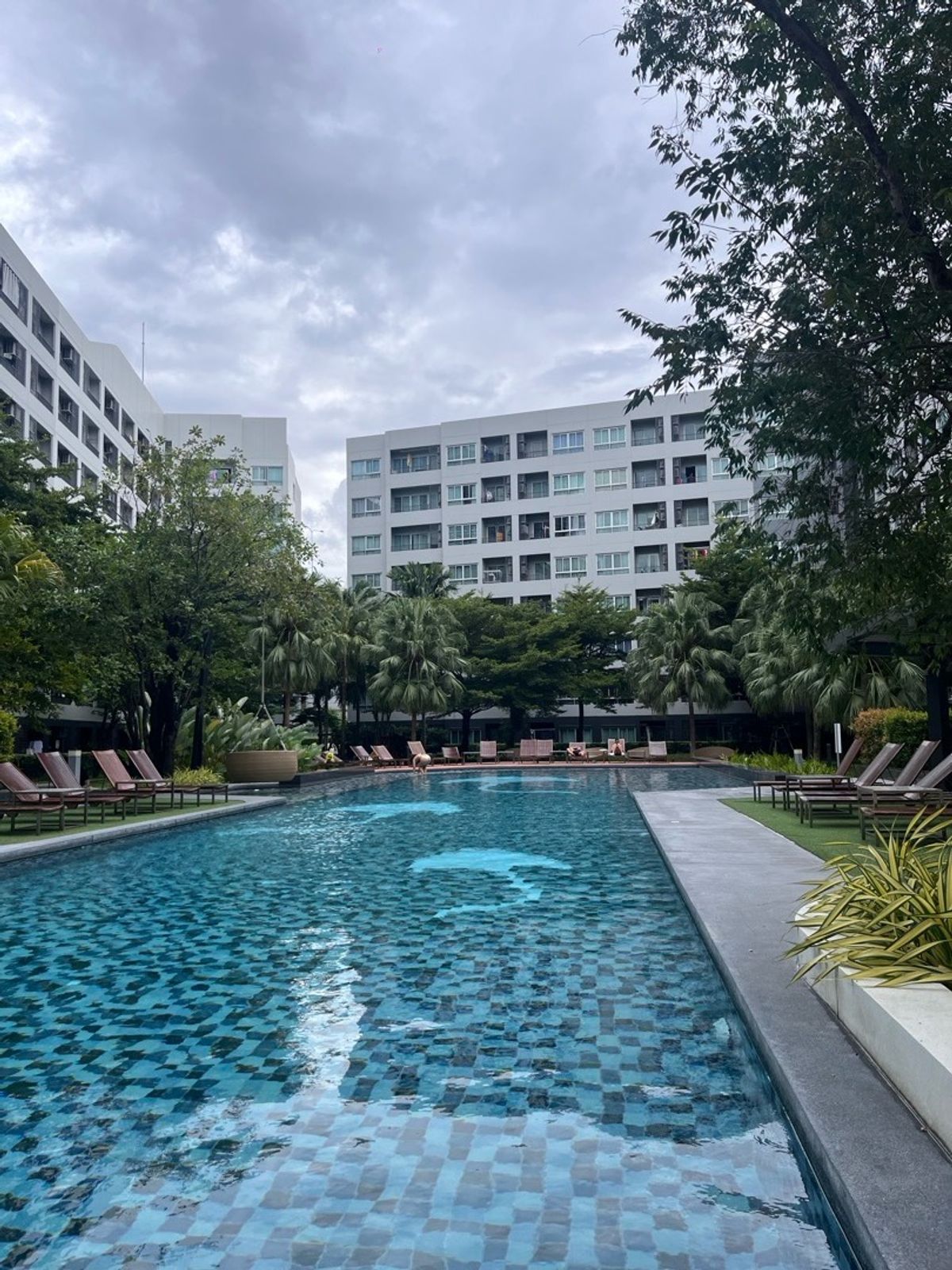 For RentCondoOnnut, Udomsuk : 🔥For urgent rent🔥 Elio Delay Sukhumvit 64, fully furnished, ready to move in, near BTS❗