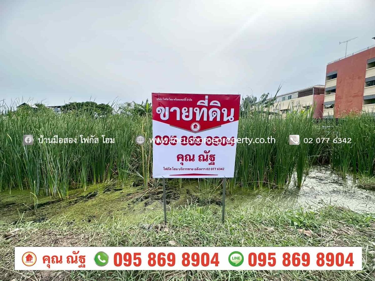 For SaleLandPathum Thani,Rangsit, Thammasat : Land for sale 112 sq.w. Soi Thawee Suk, Rangsit-Pathum Thani Road