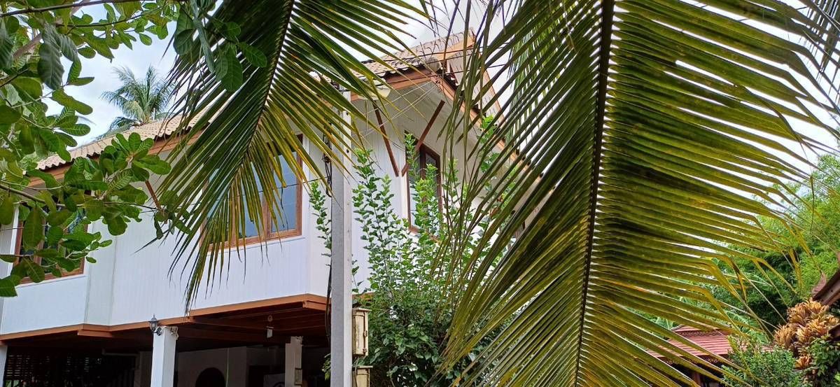 ขายบ้านสมุทรสงคราม : ขายบ้านสวนบางคนที (บ้านพิริยาภรณ์) อ.บางคนที จังหวัดสมุทรสงคราม ทำเลใกล้กรุงเทพ  พื้นที่ใหญ่มาก บรรยากาศ เงียบสงบ ปลอดภัย น่าอยู่ เพื่อนบ้านน่ารัก 