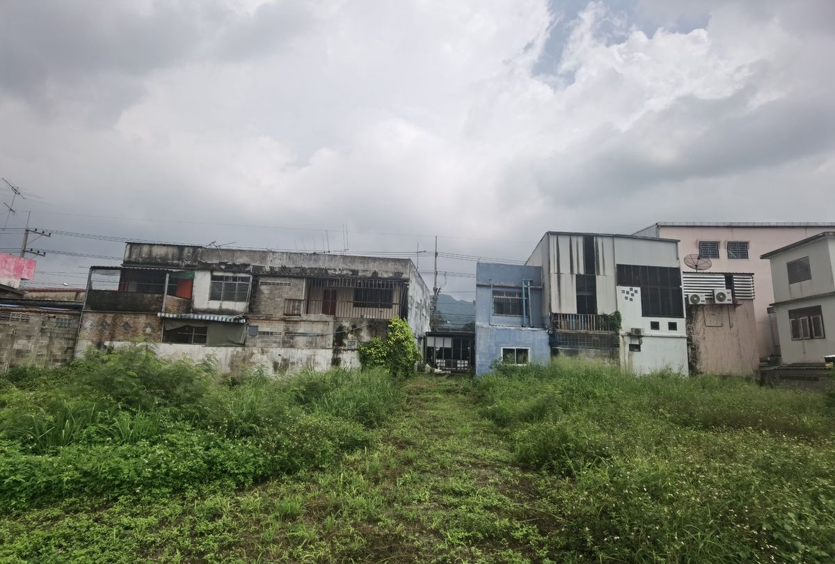 ขายที่ดินปากช่อง เขาใหญ่ : ขายที่ดิน ติดถนนมิตรภาพ หลังโลตัสโกเฟรช กลางดง ปากช่อง นครราชสีมา