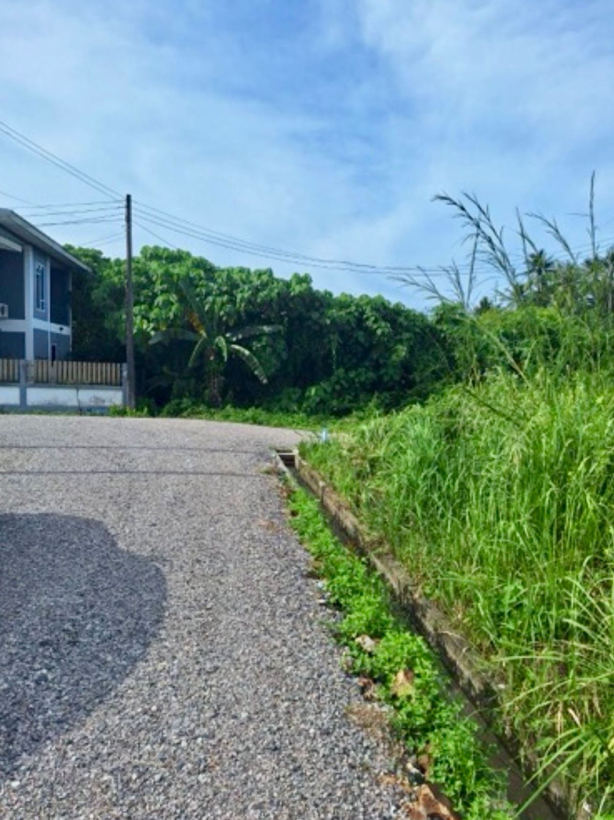 ขายที่ดินหาดใหญ่ สงขลา : [M6368] ที่ดินเปล่า ถมแล้ว 55 ตร.ว. โลเคชั่นดีมาก ใกล้แม็คโครสงขลา 5 นาทีถึงหาดสมิหลา ต.พะวง เมืองสงขลา เหมาะปลูกบ้าน อาคารสำนักงาน