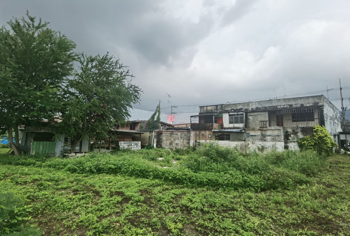 ขายที่ดินปากช่อง เขาใหญ่ : ขายที่ดิน ติดถนนมิตรภาพ หลังโลตัสโกเฟรช กลางดง ปากช่อง นครราชสีมา