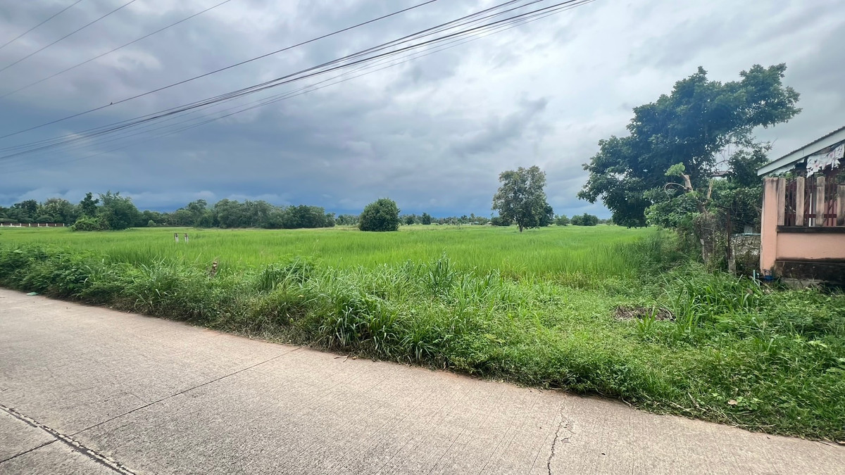 ขายที่ดินขอนแก่น : ขายที่ดิน ่บ้านฝาง ขอนแก่น 8 ไร่ 1 งาน 89 ตรว. ติดถนนหลักระหว่างบ้านหนองแวง-บ้านเหล่า ลดราคาสุดๆ ไร่ละ 299000 บาทเท่านั้น