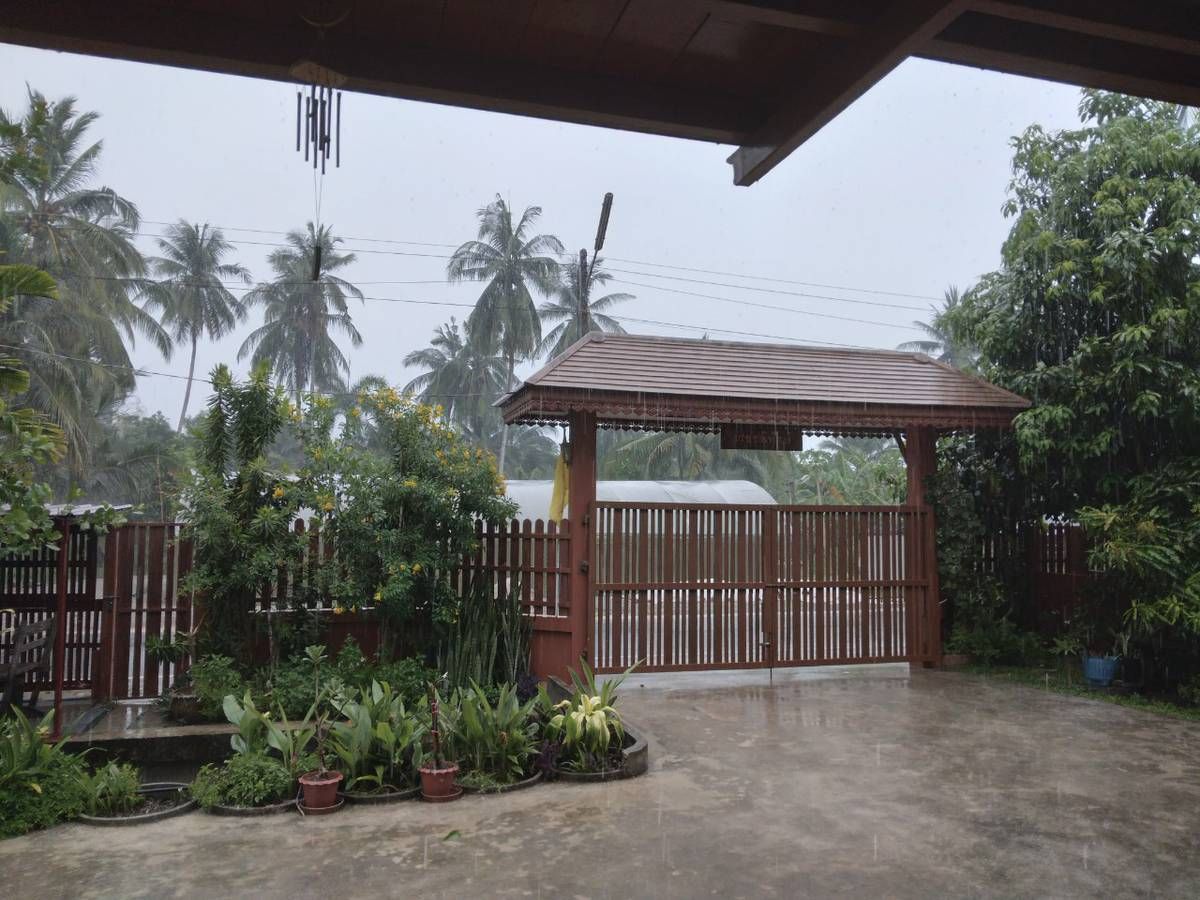 ขายบ้านสมุทรสงคราม : ขายบ้านสวนบางคนที (บ้านพิริยาภรณ์) อ.บางคนที จังหวัดสมุทรสงคราม ทำเลใกล้กรุงเทพ  พื้นที่ใหญ่มาก บรรยากาศ เงียบสงบ ปลอดภัย น่าอยู่ เพื่อนบ้านน่ารัก 