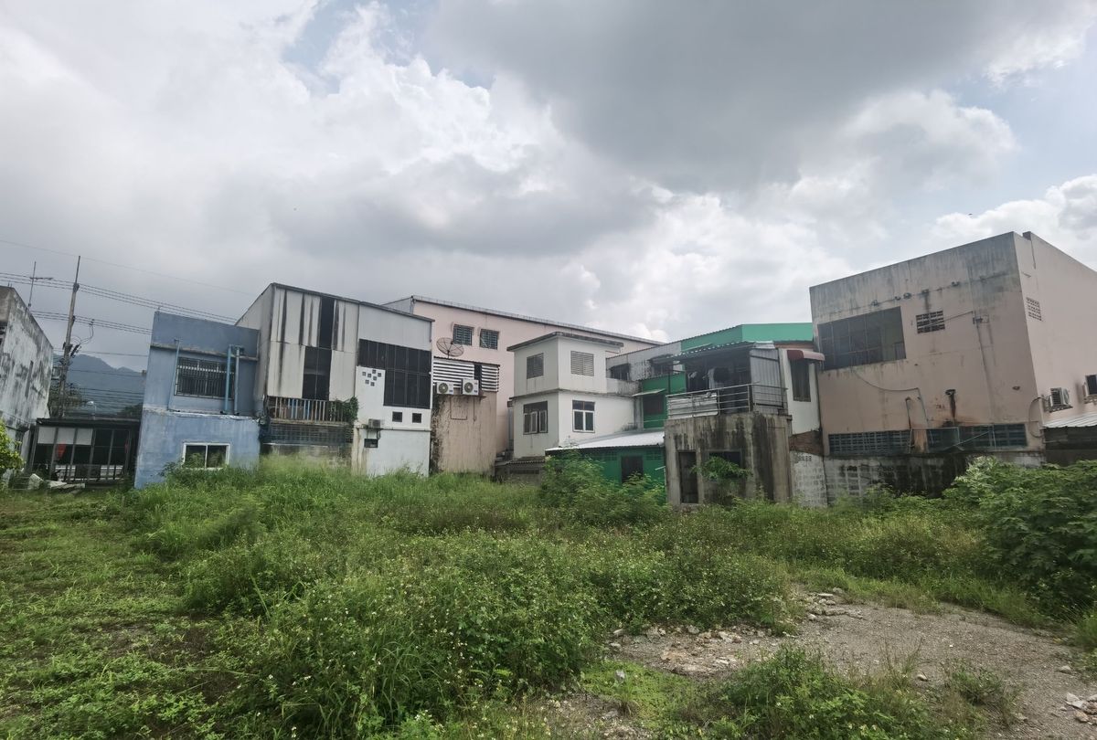 ขายที่ดินปากช่อง เขาใหญ่ : ขายที่ดิน ติดถนนมิตรภาพ หลังโลตัสโกเฟรช กลางดง ปากช่อง นครราชสีมา