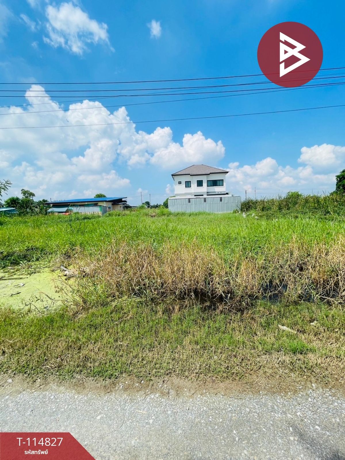 ขายที่ดินนครปฐม : ขายที่ดิน เนื้อที่ 1 งาน 67 ตร.วา นครชัยศรี นครปฐม