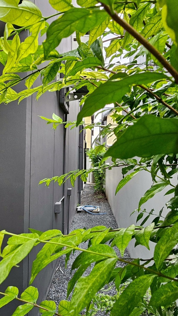 ขายบ้านนวมินทร์ รามอินทรา : 🔥ขายด่วน🔥บ้านเดี่ยว 2 ชั้น โนเบิล เกเบิล วัชรพล เดินทางสะดวกมาก เข้า-ออกได้หลายทาง ใกล้ตลาด มีของกินตลอด 24 ชม.