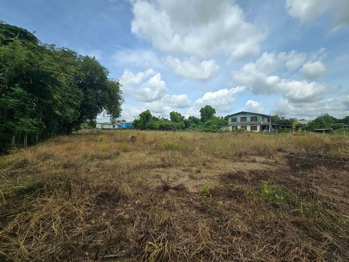 For RentLandPrachin Buri : Land for rent, size 1 rai. Land reclamation. Tha Tum Subdistrict, Si Maha Phot District Prachinburi Province