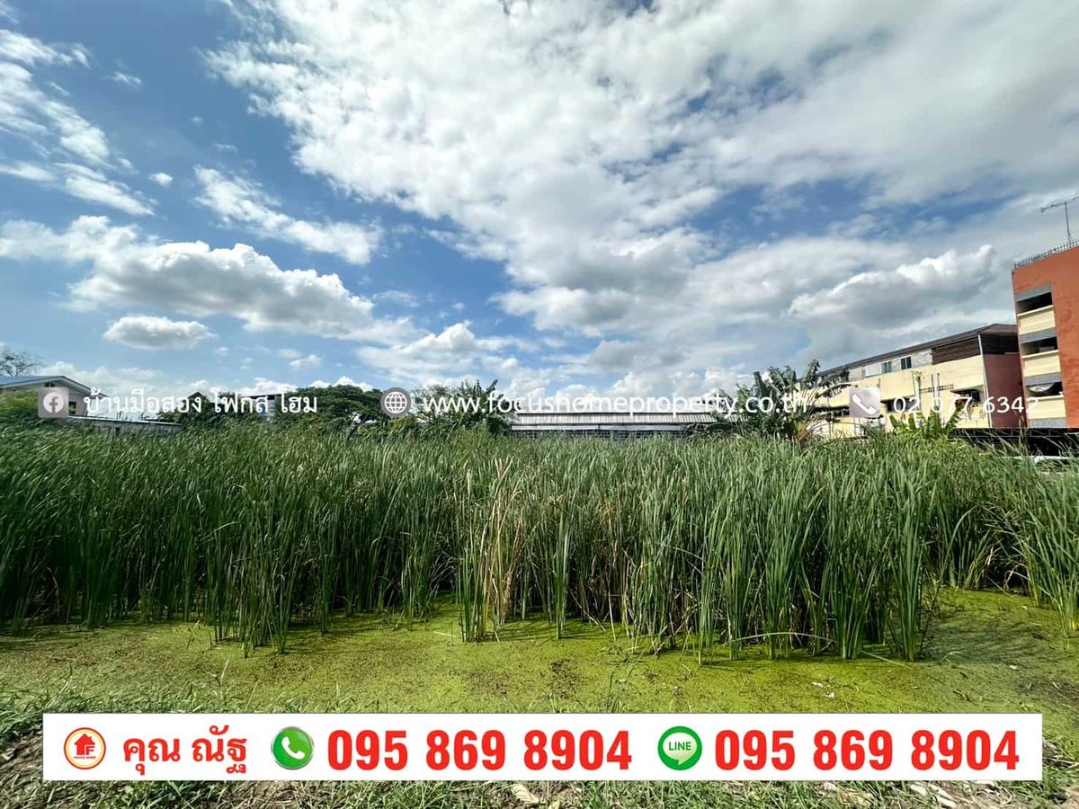 ขายที่ดินปทุมธานี รังสิต ธรรมศาสตร์ : ขาย ที่ดิน 112 ตร.ว ซอยทวีสุข ถนน รังสิต-ปทุมธานี