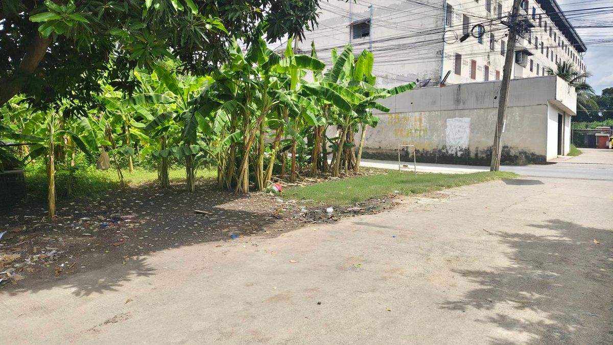 ขายที่ดินบางแค เพชรเกษม : ที่ดิน 97 ตรว. บางแค ซอย10