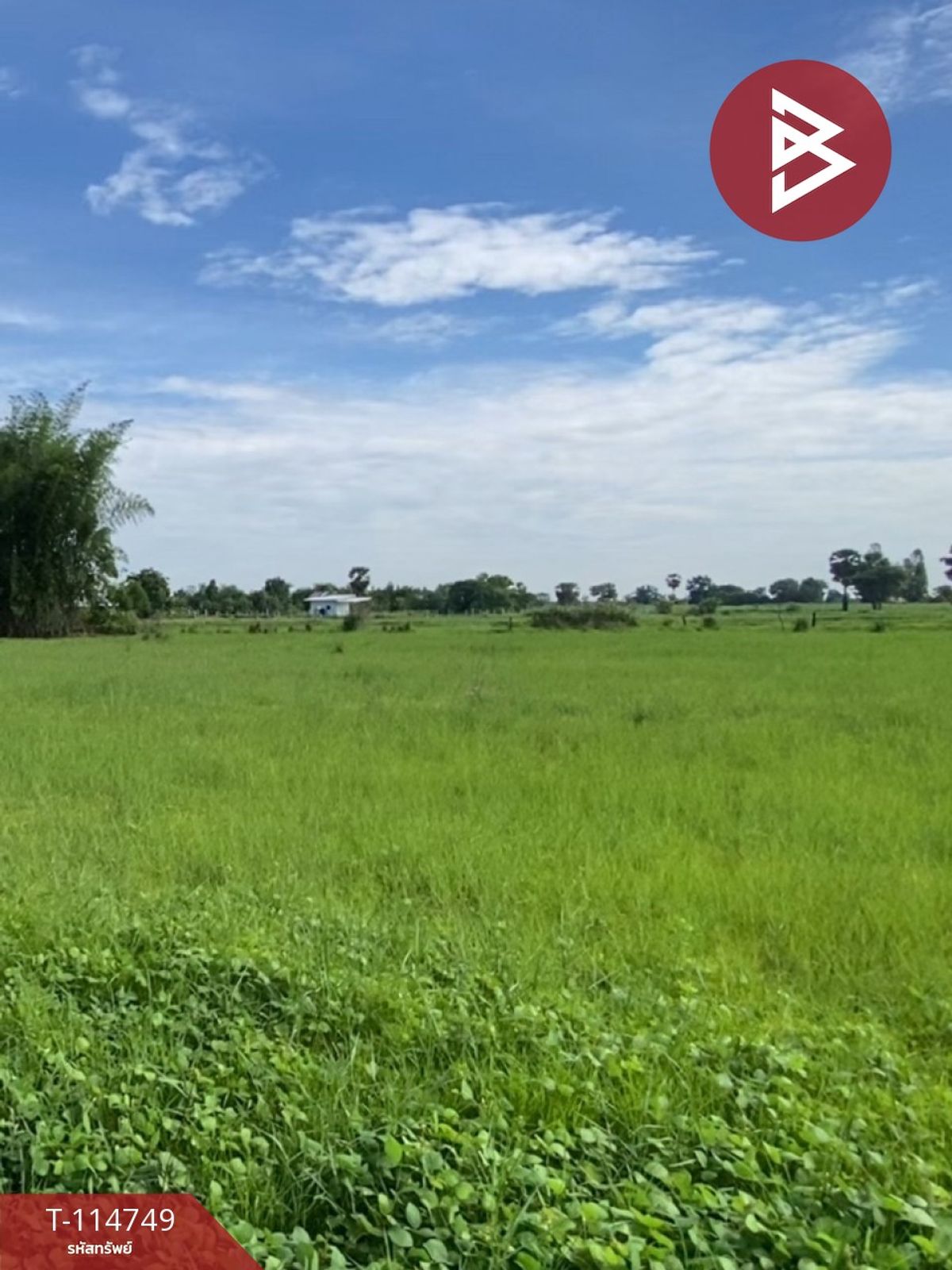 ขายที่ดินขอนแก่น : ขายที่ดิน เนื้อที่ 5 ไร่ 1 งาน 64 ตร.วา บ้านฝาง ขอนแก่น