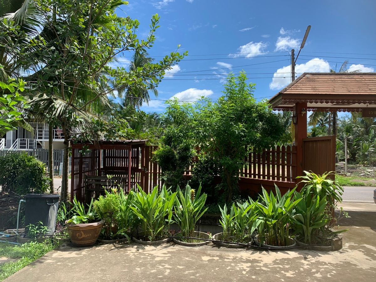 ขายบ้านสมุทรสงคราม : ขายบ้านสวนบางคนที (บ้านพิริยาภรณ์) อ.บางคนที จังหวัดสมุทรสงคราม ทำเลใกล้กรุงเทพ  พื้นที่ใหญ่มาก บรรยากาศ เงียบสงบ ปลอดภัย น่าอยู่ เพื่อนบ้านน่ารัก 