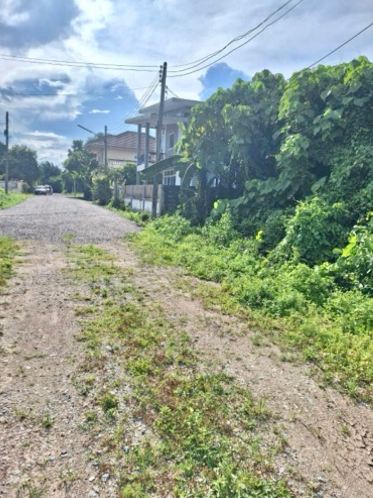 ขายที่ดินหาดใหญ่ สงขลา : [M6368] ที่ดินเปล่า ถมแล้ว 55 ตร.ว. โลเคชั่นดีมาก ใกล้แม็คโครสงขลา 5 นาทีถึงหาดสมิหลา ต.พะวง เมืองสงขลา เหมาะปลูกบ้าน อาคารสำนักงาน