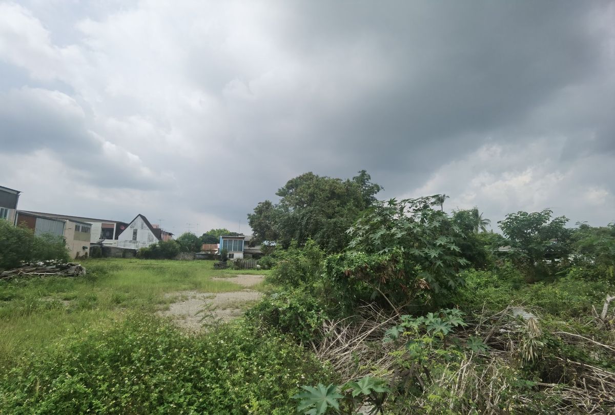 ขายที่ดินปากช่อง เขาใหญ่ : ขายที่ดิน ติดถนนมิตรภาพ หลังโลตัสโกเฟรช กลางดง ปากช่อง นครราชสีมา