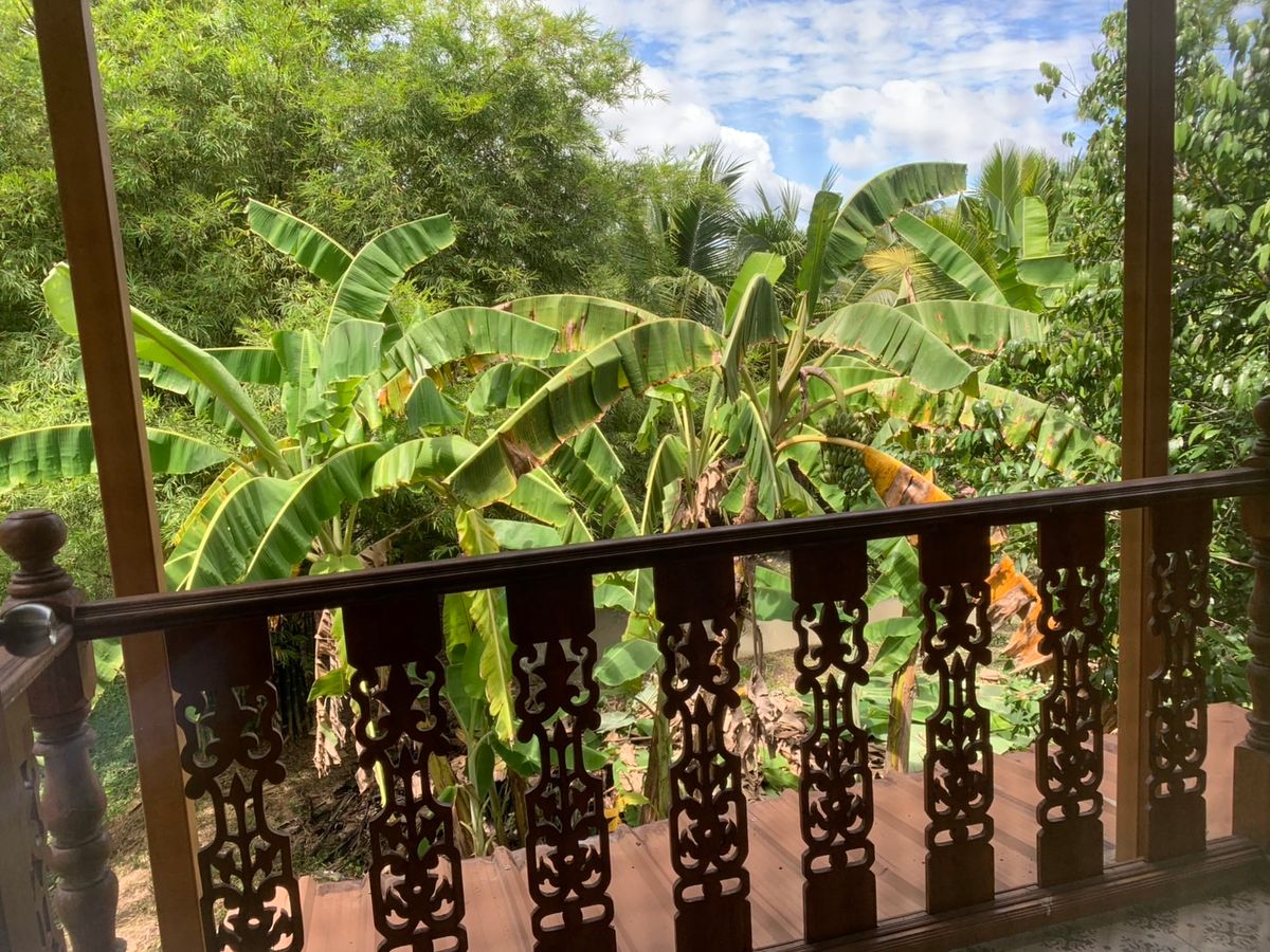 ขายบ้านสมุทรสงคราม : ขายบ้านสวนบางคนที (บ้านพิริยาภรณ์) อ.บางคนที จังหวัดสมุทรสงคราม ทำเลใกล้กรุงเทพ  พื้นที่ใหญ่มาก บรรยากาศ เงียบสงบ ปลอดภัย น่าอยู่ เพื่อนบ้านน่ารัก 