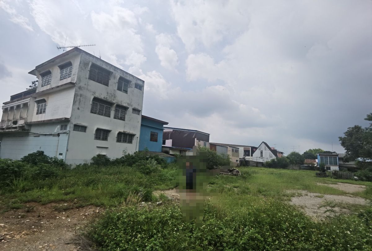 ขายที่ดินปากช่อง เขาใหญ่ : ขายที่ดิน ติดถนนมิตรภาพ หลังโลตัสโกเฟรช กลางดง ปากช่อง นครราชสีมา