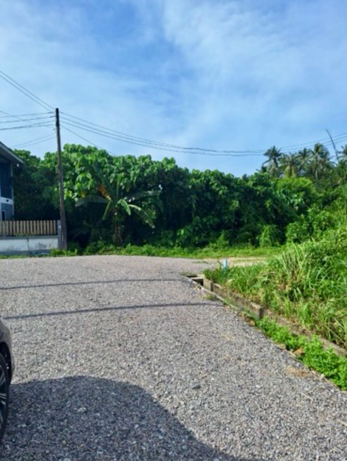 ขายที่ดินหาดใหญ่ สงขลา : [M6368] ที่ดินเปล่า ถมแล้ว 55 ตร.ว. โลเคชั่นดีมาก ใกล้แม็คโครสงขลา 5 นาทีถึงหาดสมิหลา ต.พะวง เมืองสงขลา เหมาะปลูกบ้าน อาคารสำนักงาน