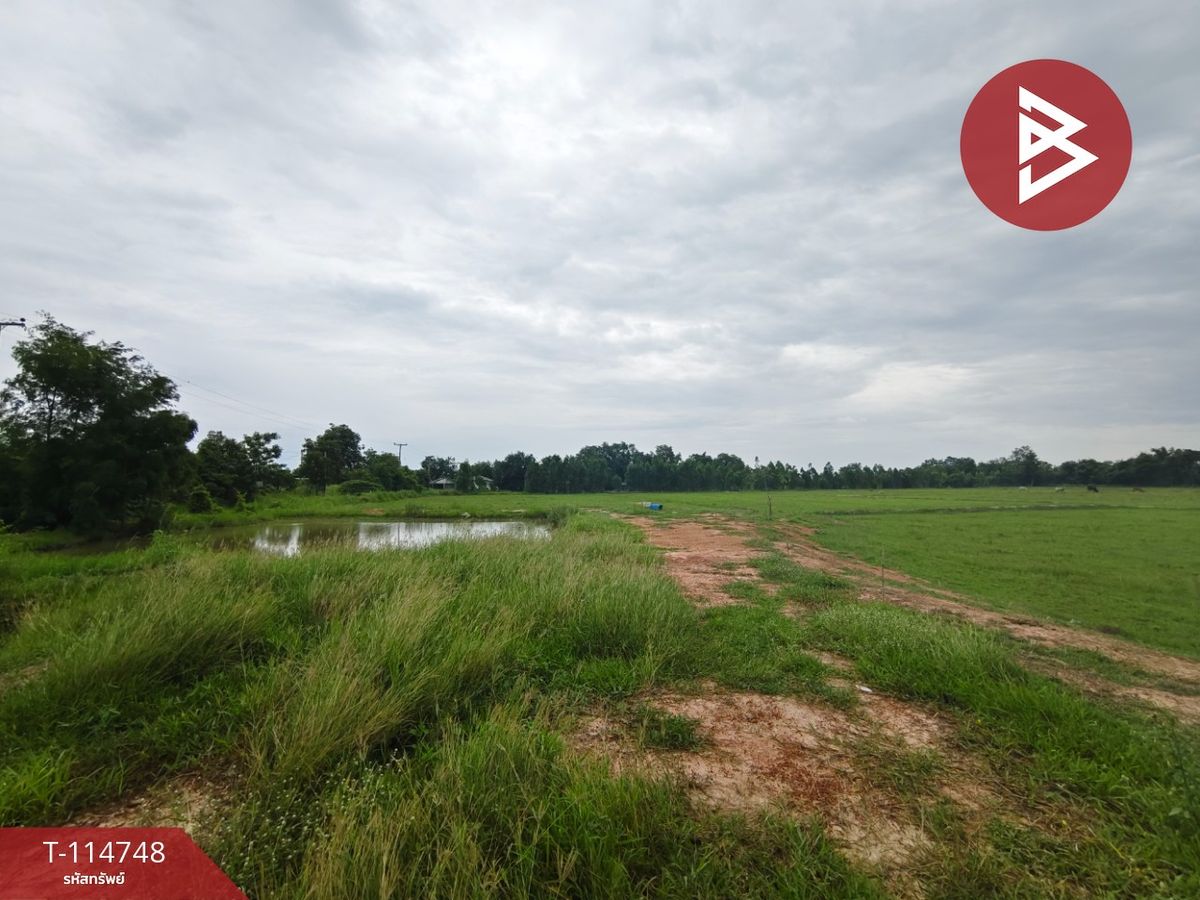 ขายที่ดินชัยนาท : ขายที่ดิน เนื้อที่ 44 ไร่ 2 งาน 57 ตร.วา หันคา ชัยนาท
