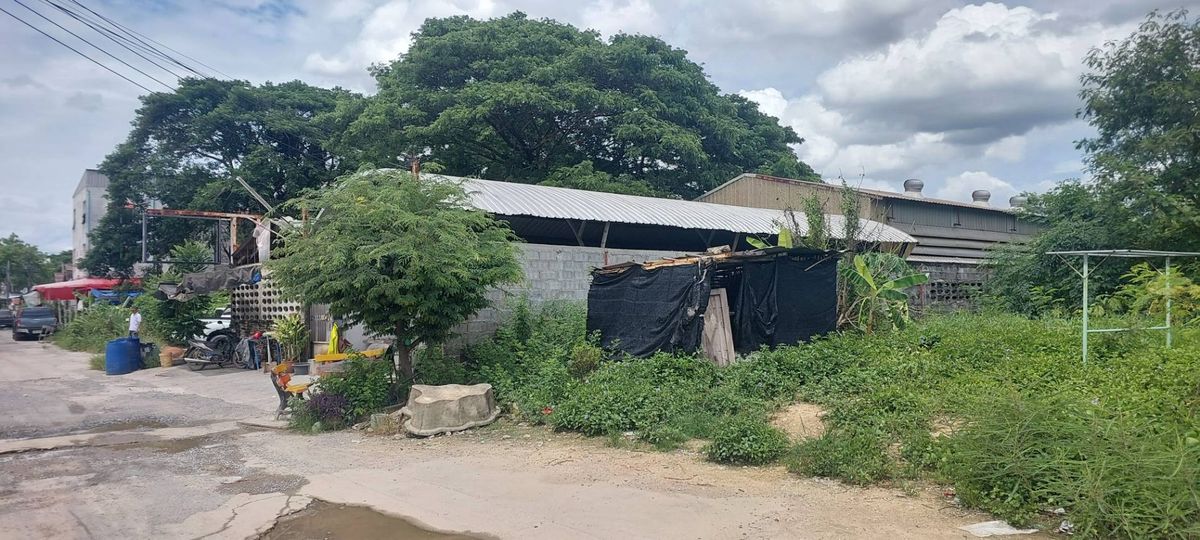 ขายที่ดินพุทธมณฑล ศาลายา : ขายที่ดินแปลงสวยราคาถูก พุทธมณฑลสาย 1