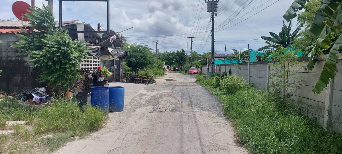 ขายที่ดินพุทธมณฑล ศาลายา : ขายที่ดินแปลงสวยราคาถูก พุทธมณฑลสาย 1