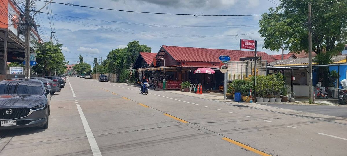 ขายที่ดินพุทธมณฑล ศาลายา : ขายที่ดินแปลงสวยราคาถูก พุทธมณฑลสาย 1