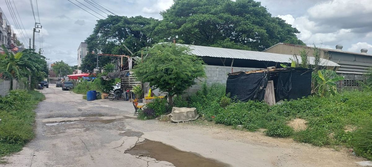 ขายที่ดินพุทธมณฑล ศาลายา : ขายที่ดินแปลงสวยราคาถูก พุทธมณฑลสาย 1