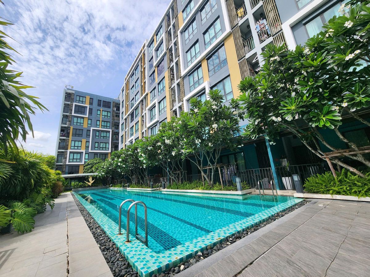 ขายคอนโดเสรีไทย-นิด้า : ขายคอนโด iCondo Green Space Serithai
ห้องสวย พร้อมเข้าอยู่ วิวสระว่ายน้ำ
