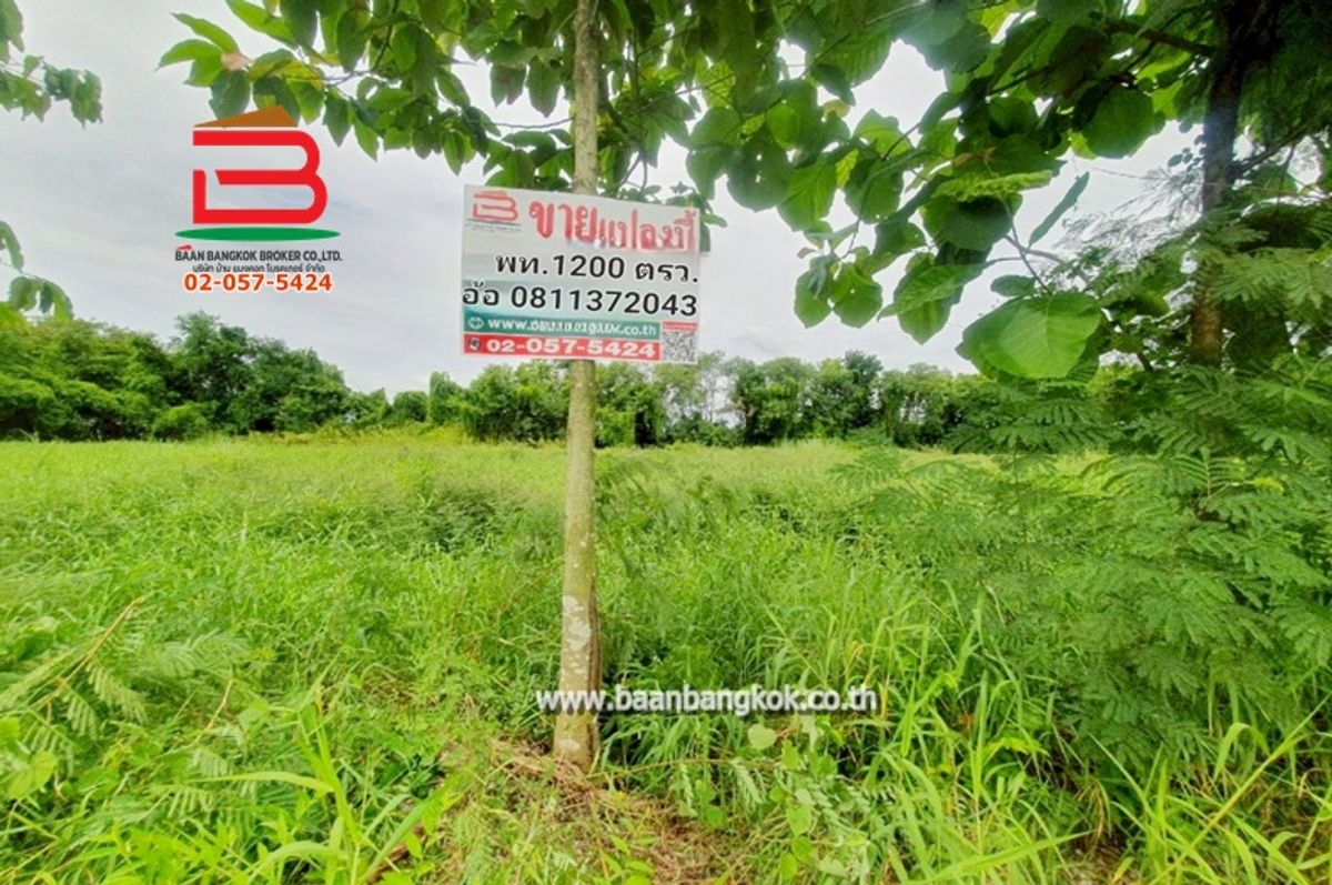 ขายที่ดินปทุมธานี รังสิต ธรรมศาสตร์ : ที่ดินเปล่า ระแหง-ลาดหลุมแก้ว เนื้อที่ 3 ไร่ ติดบจก.ชาญนครวิศวกรรม, ตรงข้ามปั้ม ปตท. ม.12 ถนนกาญจนาภิเษก ตำบลระแหง อำเภอลาดหลุมแก้ว จังหวัดปทุมธานี