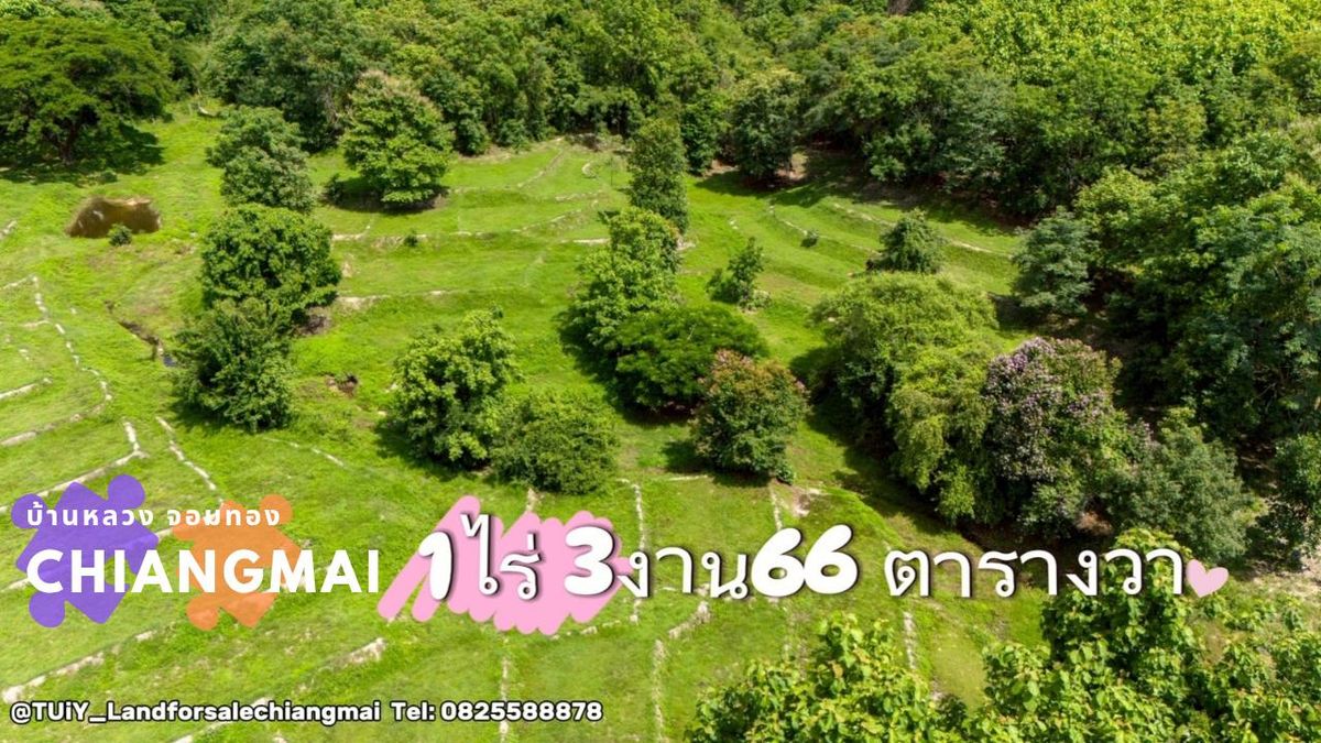 ขายที่ดินเชียงใหม่ : ขายถูก!! ที่ดินแบ่งขาย วิวภูเขาล้อมรอบ บนที่ราบเนินเขานาขั้นบันได 1ไร่ 3งาน 66ตารางวา อำเภอจอมทอง จังหวัดเชียงใหม่ (ใช้เดินทาง 1.15ชั่วโมงจากตัวเมือง)
