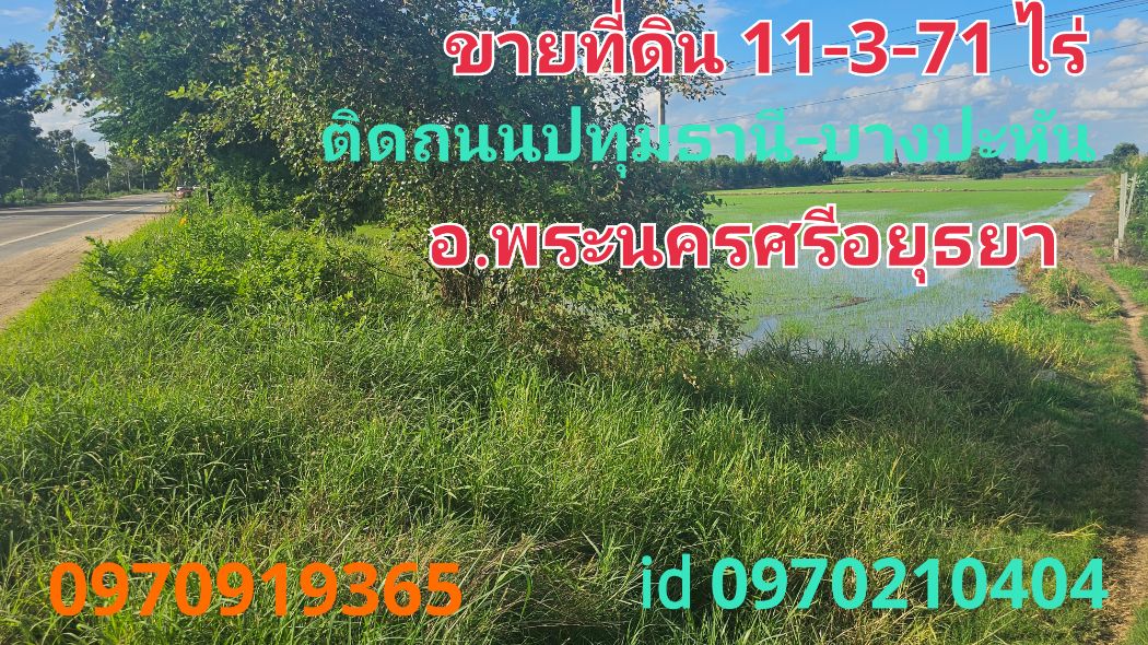 ขายที่ดินอยุธยา : ขาย ที่ดิน ติดถนนปทุมธานี-บางปะหัน อ.พระนครศรีอยุธยา 11 ไร่ 3 งาน 71 ตร.วา