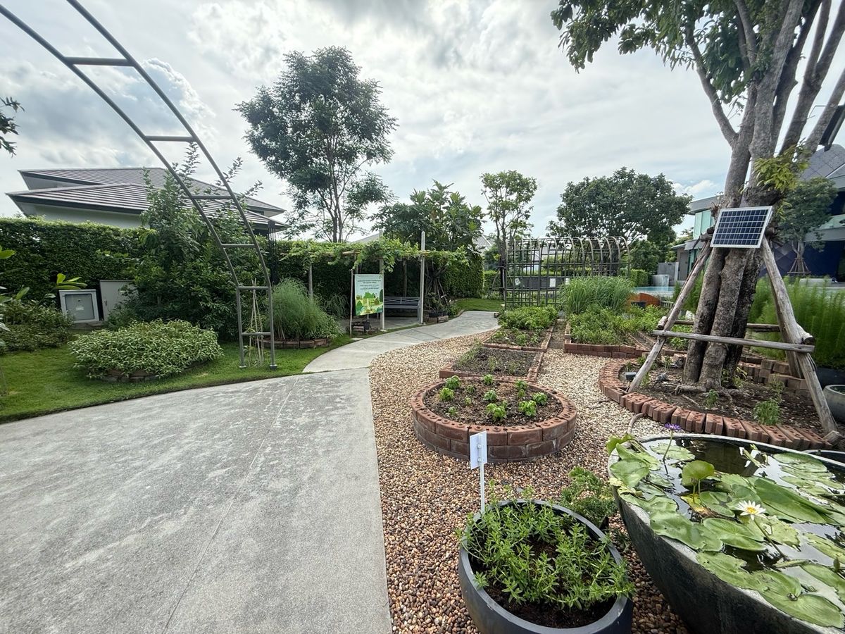 For SaleHousePhutthamonthon, Salaya : 2 -storey detached house, good location near the club house, peaceful, more than 6 cars