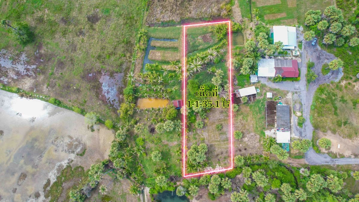 ขายที่ดินหัวหิน ประจวบคีรีขันธ์ : ที่ดินสวย ในเมืองปราณ 6500 บาท ต่อ ตรว 1 ไร่ 1 งาน ใกล้ทะเล เพียง 8กม.