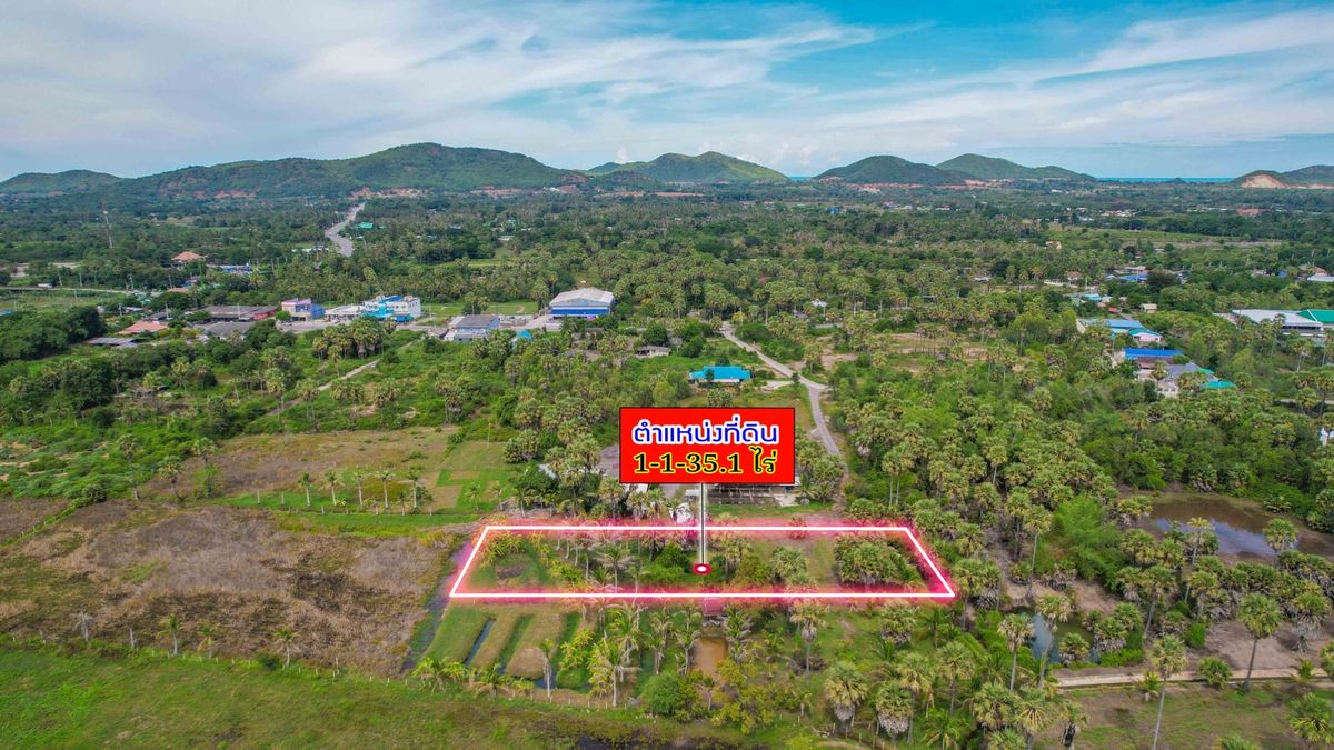 ขายที่ดินหัวหิน ประจวบคีรีขันธ์ : ที่ดินสวย ในเมืองปราณ 6500 บาท ต่อ ตรว 1 ไร่ 1 งาน ใกล้ทะเล เพียง 8กม.