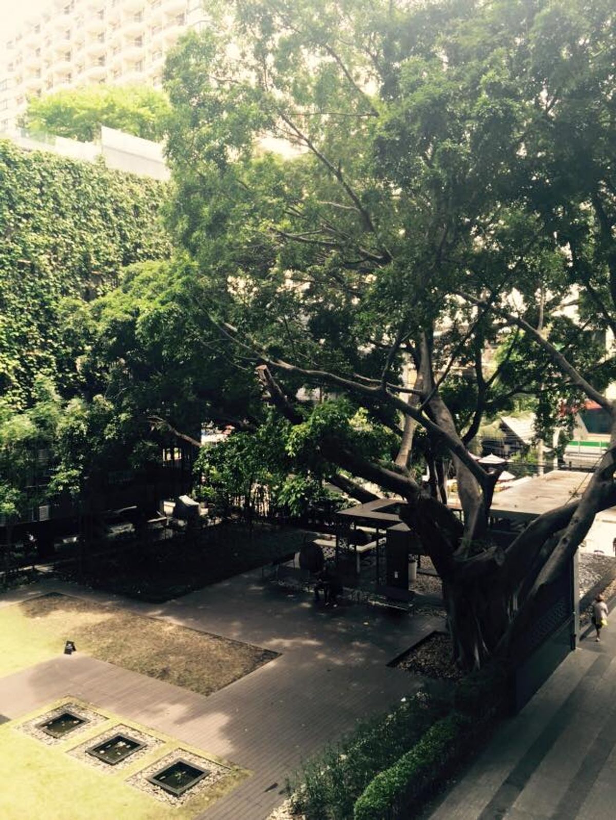 For SaleCondoSathorn, Narathiwat : Rare Item! Selling The Seed Mingle room with a tenant (4.5% yield)