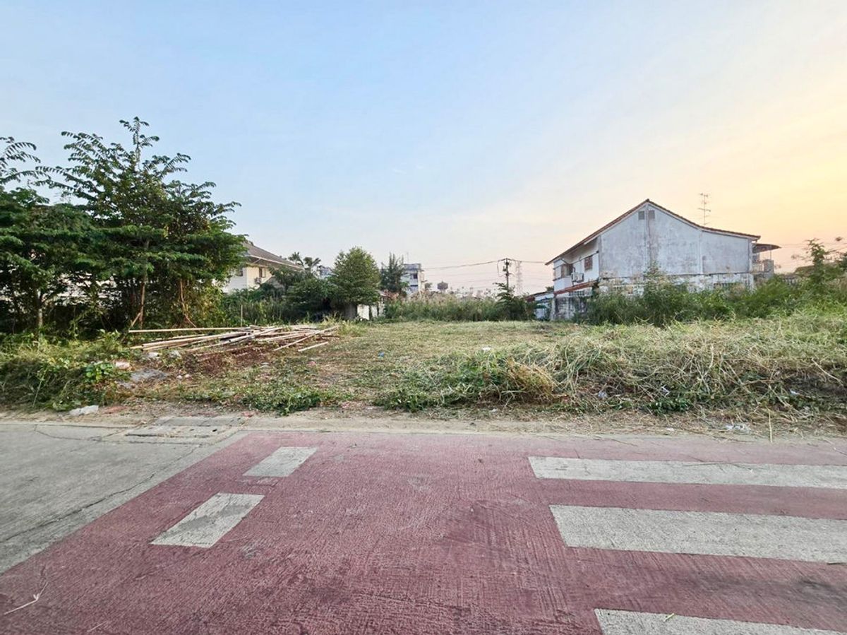 ขายที่ดินบางแค เพชรเกษม : สอบถามโทร : 061-636-2666 ขายที่ดินถมแล้ว 100 ตร.วา ตรงข้ามโรงเรียนอนุบาล ยุวมิตร เพชรเกษม 77 แยก 4-7 ถนนสวัสดิการ 2 ซอย 10 เขตหนองแขม ใกล้บิ๊กซี โฮมโปร โรงพยาบาลวิชัยเวช หนองแขม