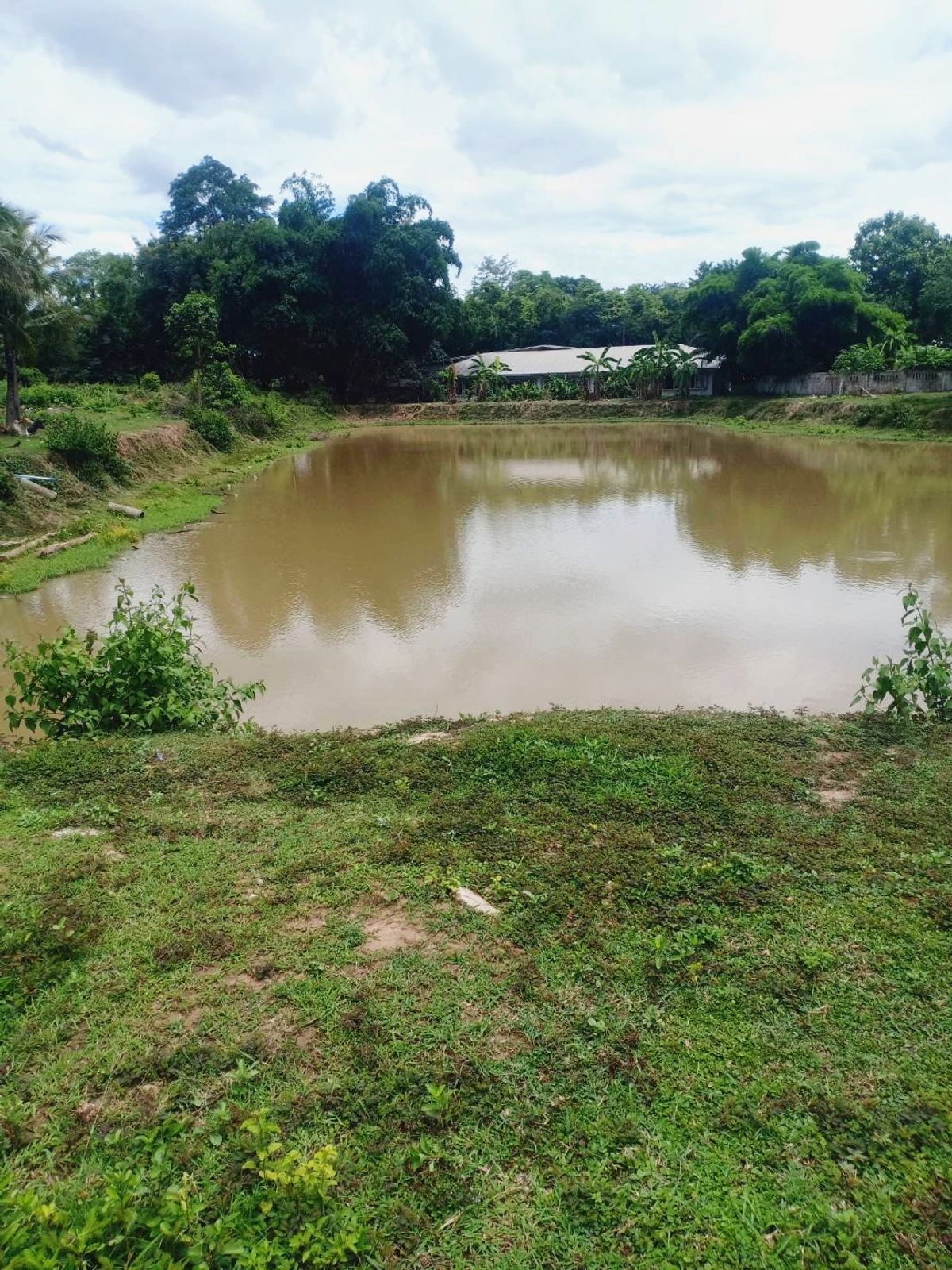 ขายที่ดินเลย : ที่ดินแปลงสวย  วิวหลักล้าน ติดริมแม่น้ำโขง ต.เชียงคาน อ.เชียงคาน จ.เลย