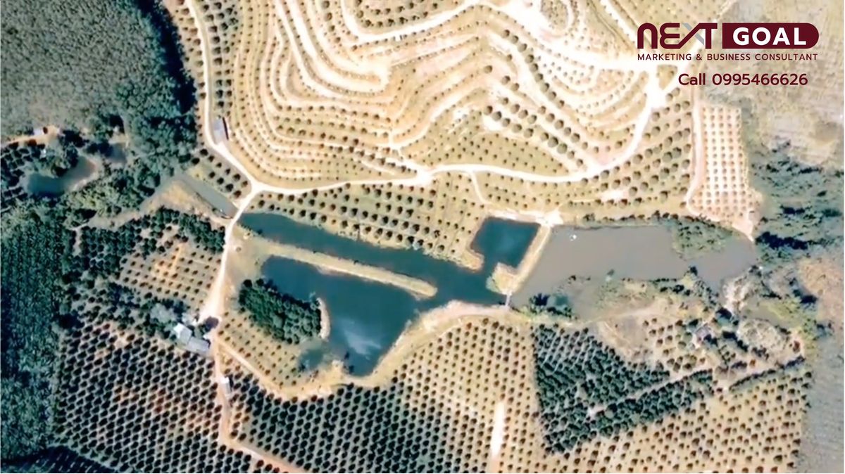 ขายที่ดินตราด : คว้าโอกาสทอง: สวนทุเรียนพรีเมี่ยมในจังหวัดตราด! 🌳 